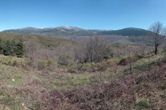 PANO_20210320_143437