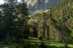 IMG_20190713_083732_HDR
