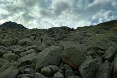 IMG_20190714_085237_HDR