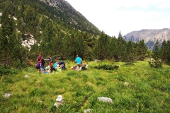 IMG_20190714_110642