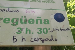 WhatsApp-Image-2019-07-15-at-11.19.16