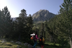 WhatsApp-Image-2019-07-15-at-11.21.11