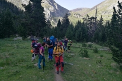 WhatsApp-Image-2019-07-15-at-11.21.19