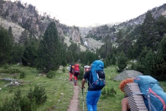 WhatsApp-Image-2019-07-15-at-19.03.12