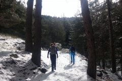 IMG-20190406-WA0008