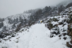 IMG-20190406-WA0062