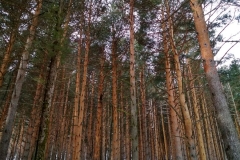 IMG_20190406_100620_HDR