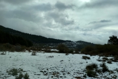 IMG_20190406_100850_HDR