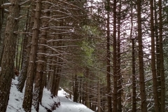 IMG_20190406_105716_HDR