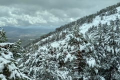 IMG_20190406_124131_HDR