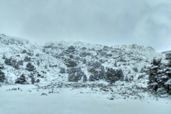 IMG_20190406_124616_HDR_stitch