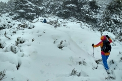 IMG_20190406_135452_HDR