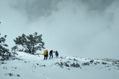 IMG_20190406_141434_HDR