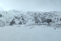 PANO_20190406_124708