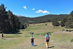 IMG-20200621-WA0032