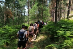 IMG-20200621-WA0070