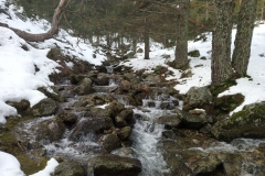 IMG-20210214-WA0021