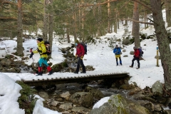 IMG-20210214-WA0133