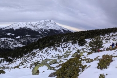 IMG_20210213_111140_stitch