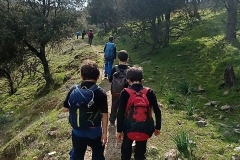 IMG_20210307_152646
