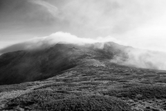 IMG_20230114_104826