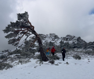 Cerro Ventoso