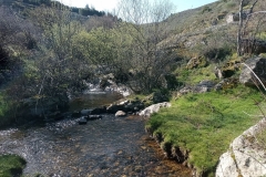 IMG_20210404_103644