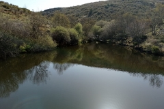 IMG_20210404_111159