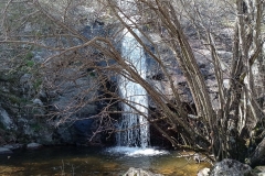 IMG_20210404_114743