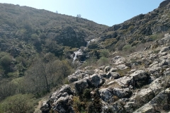 IMG_20210404_121836