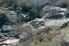 IMG_20210404_123708