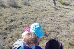 IMG_20210404_125741