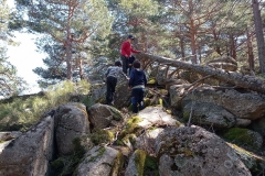 IMG_20210404_142621