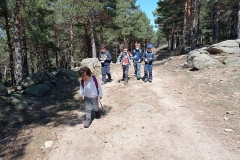 IMG_20210404_145854