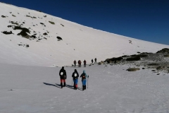 IMG-20210313-WA0063