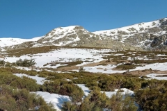 IMG_20210313_084411_stitch