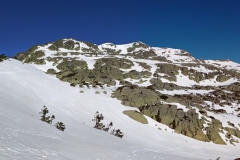 IMG_20210313_092650_stitch