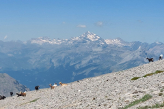 IMG_20250628_134258