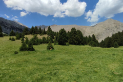 IMG_20250629_132634