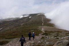 IMG-20210424-WA0004