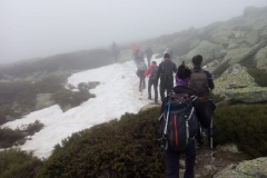 IMG-20210424-WA0019
