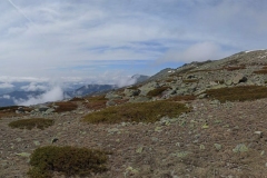IMG-20210424-WA0028