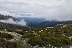 IMG-20210424-WA0031