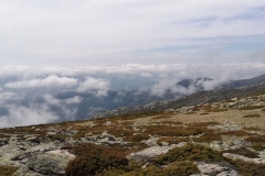 IMG-20210424-WA0047