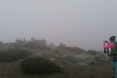 IMG-20210424-WA0065