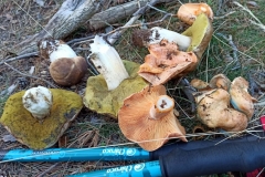 IMG-20211023-WA0030