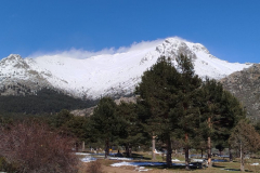 IMG_20250316_145832