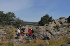 IMG-20210613-WA0026