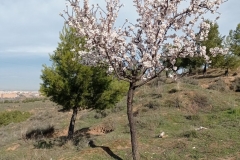 IMG_20210220_105109