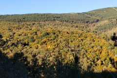 IMG_20221105_090006